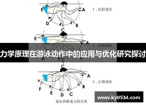 力学原理在游泳动作中的应用与优化研究探讨