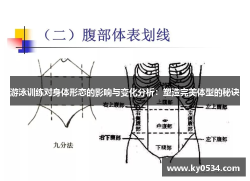 游泳训练对身体形态的影响与变化分析：塑造完美体型的秘诀